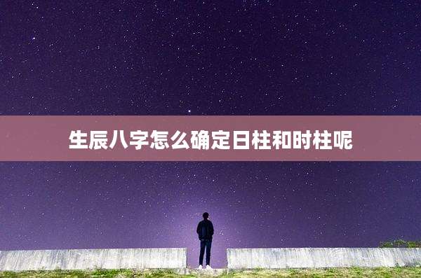 生辰八字怎么确定日柱和时柱呢