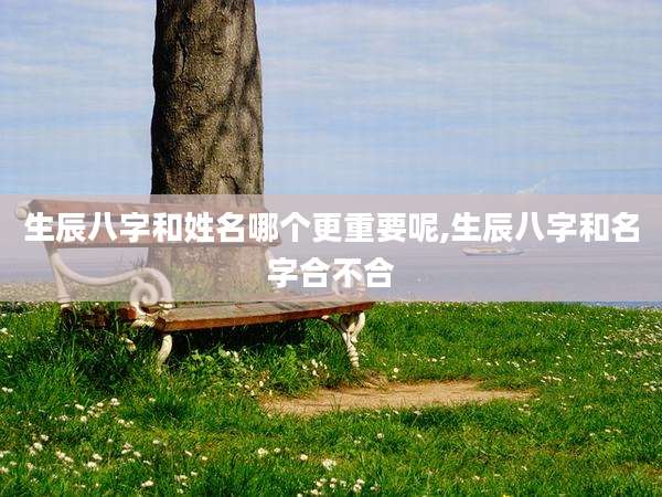 生辰八字和姓名哪个更重要呢,生辰八字和名字合不合