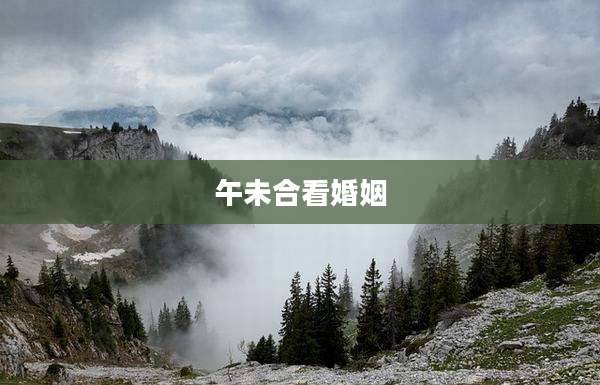 午未合看婚姻