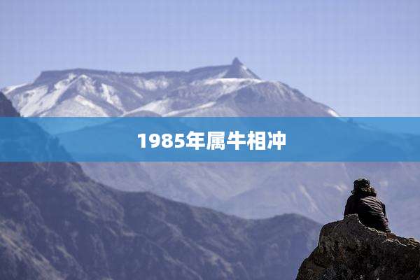 1985年属牛相冲