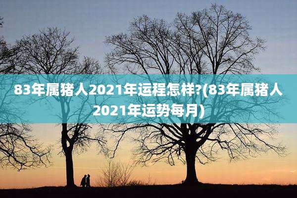 83年属猪人2021年运程怎样?(83年属猪人2021年运势每月)