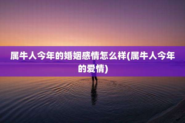 属牛人今年的婚姻感情怎么样(属牛人今年的爱情)
