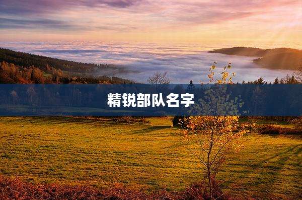 精锐部队名字