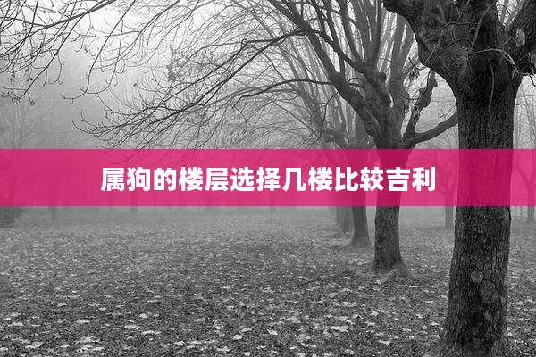 属狗的楼层选择几楼比较吉利