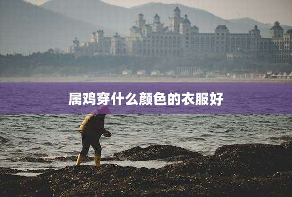 属鸡穿什么颜色的衣服好