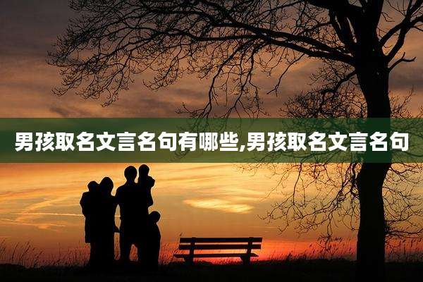 男孩取名文言名句有哪些,男孩取名文言名句