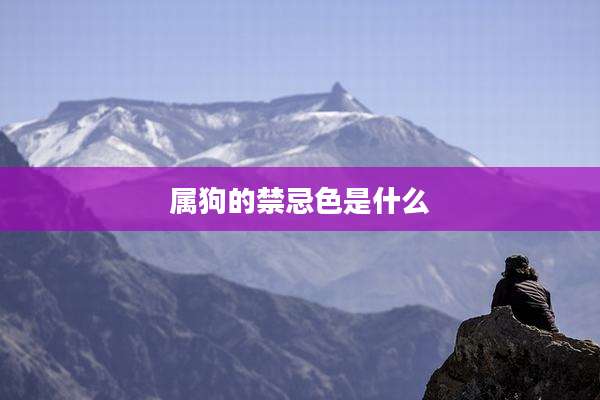 属狗的禁忌色是什么