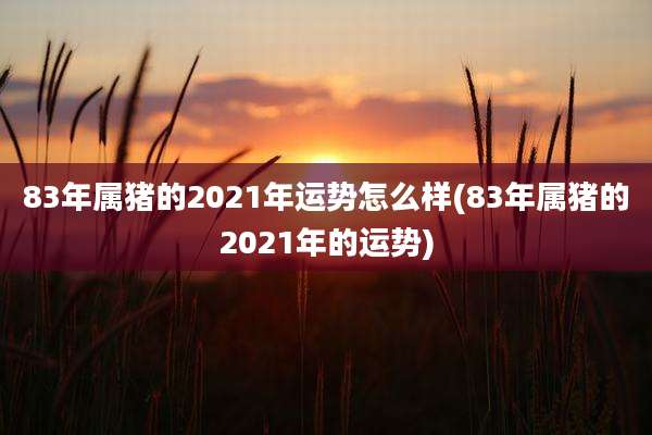 83年属猪的2021年运势怎么样(83年属猪的2021年的运势)