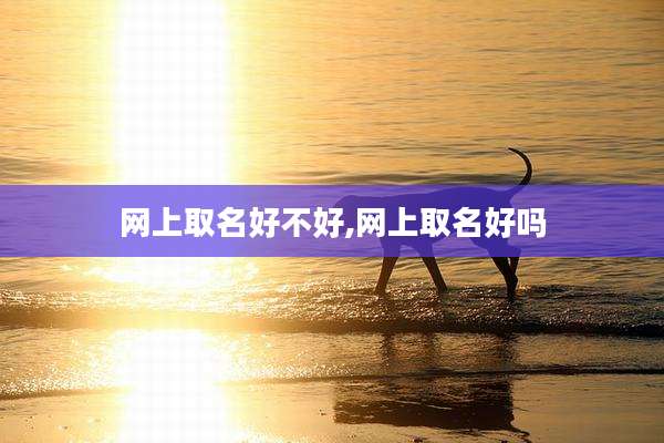 网上取名好不好,网上取名好吗