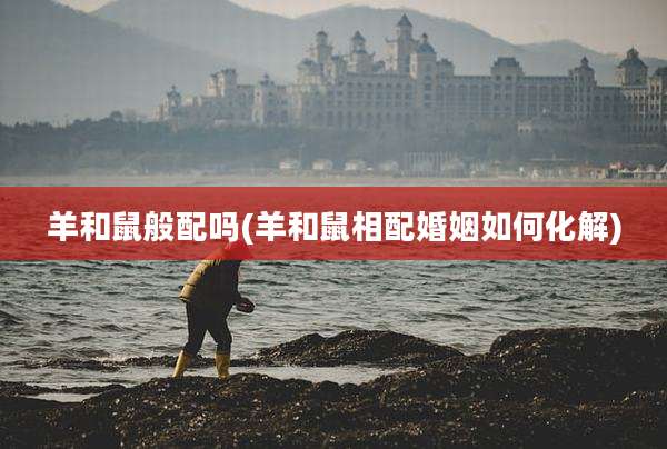 羊和鼠般配吗(羊和鼠相配婚姻如何化解)