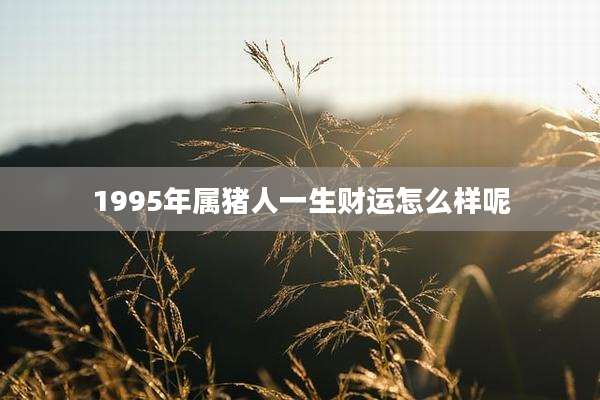 1995年属猪人一生财运怎么样呢