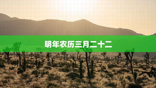 明年农历三月二十二