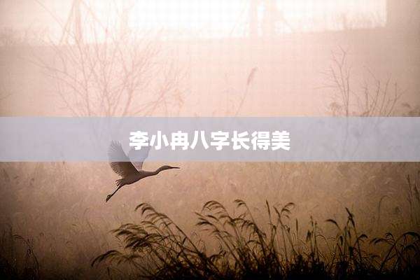 李小冉八字长得美
