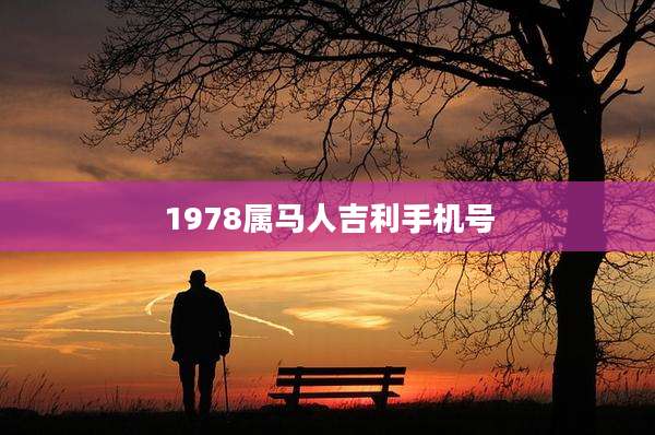 1978属马人吉利手机号