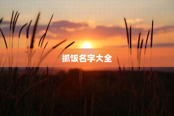 抓饭名字大全