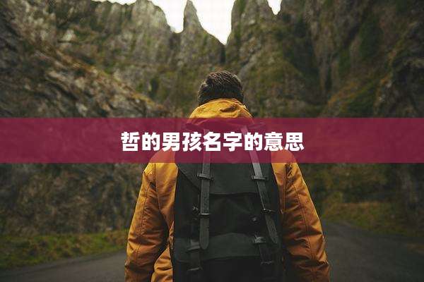 哲的男孩名字的意思