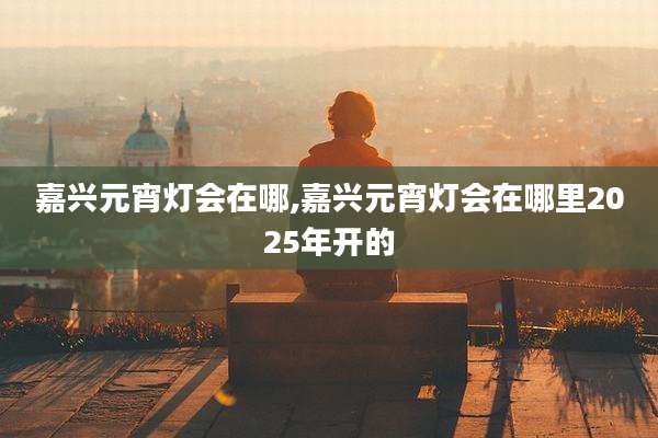 嘉兴元宵灯会在哪,嘉兴元宵灯会在哪里2025年开的
