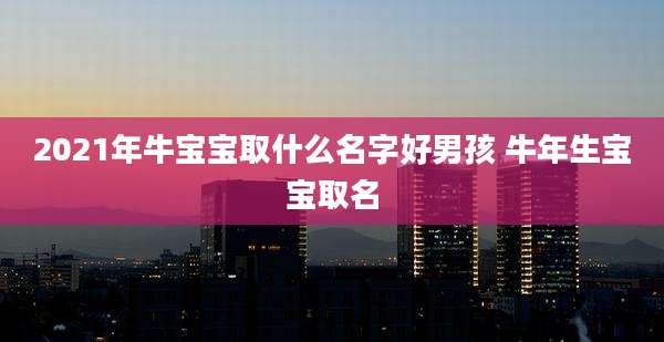 2021年牛宝宝取什么名字好男孩 牛年生宝宝取名