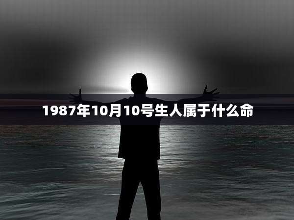 1987年10月10号生人属于什么命