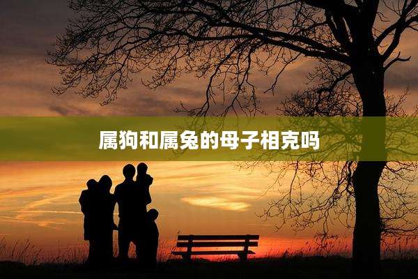 属狗和属兔的母子相克吗