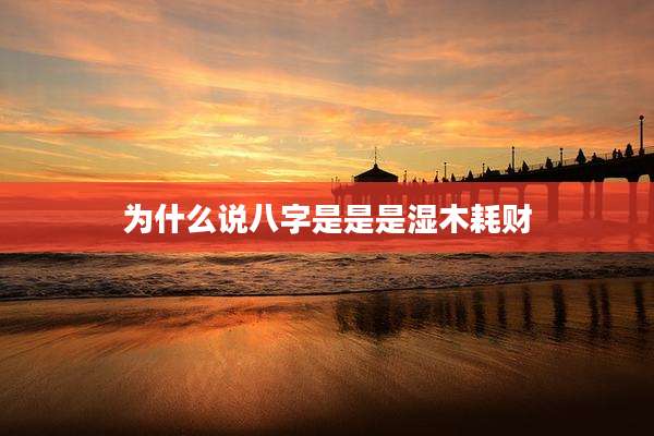 为什么说八字是是是湿木耗财