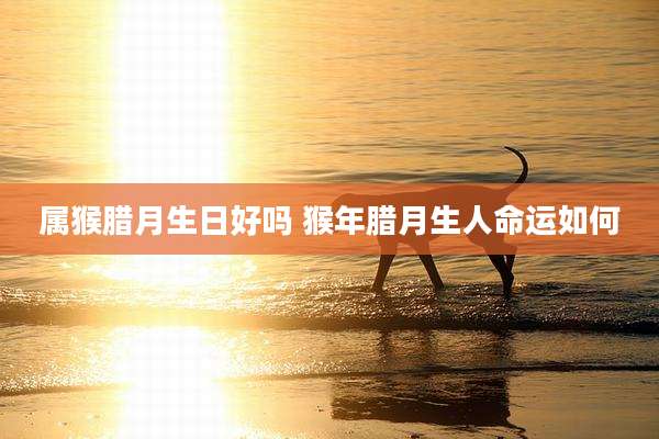 属猴腊月生日好吗 猴年腊月生人命运如何
