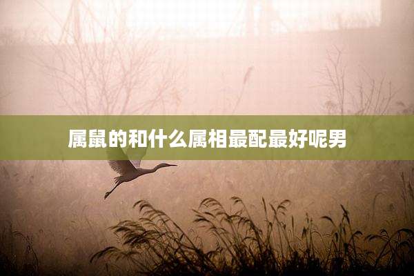 属鼠的和什么属相最配最好呢男