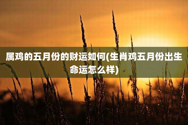 属鸡的五月份的财运如何(生肖鸡五月份出生命运怎么样)