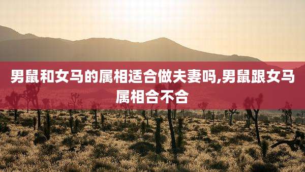 男鼠和女马的属相适合做夫妻吗,男鼠跟女马属相合不合