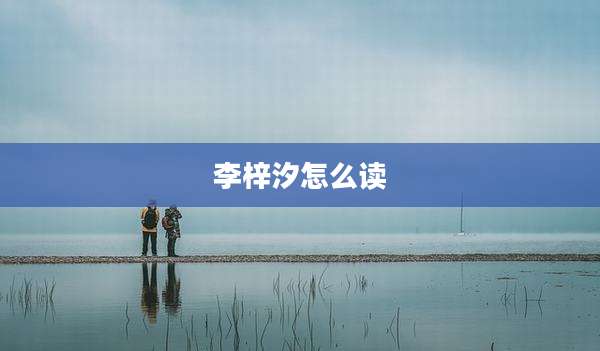 李梓汐怎么读