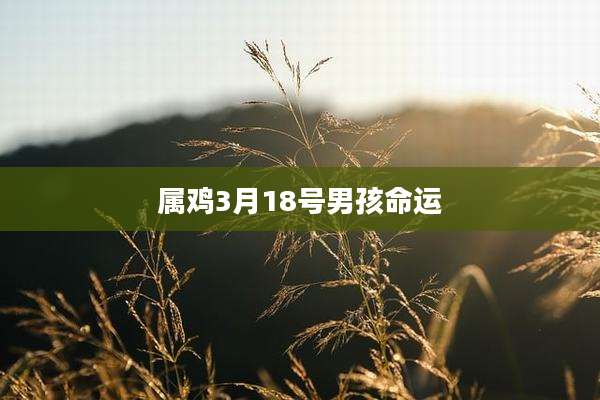 属鸡3月18号男孩命运
