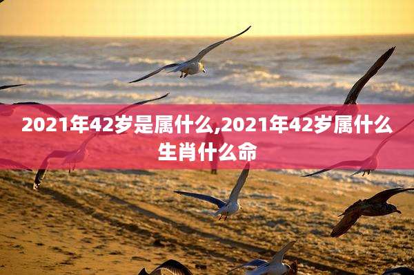 2021年42岁是属什么,2021年42岁属什么生肖什么命