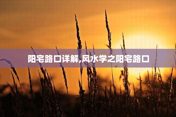 阳宅路口详解,风水学之阳宅路口