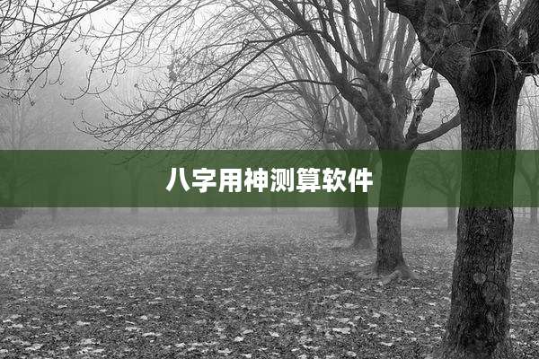 八字用神测算软件