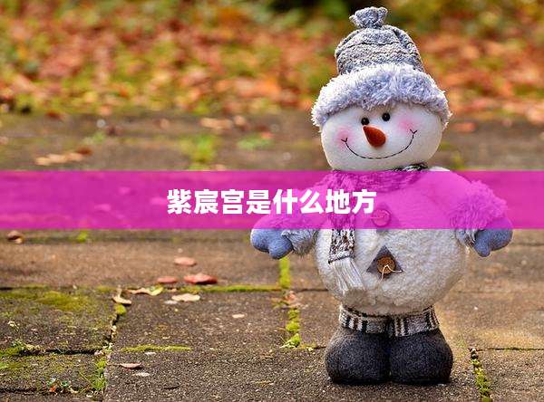 紫宸宫是什么地方