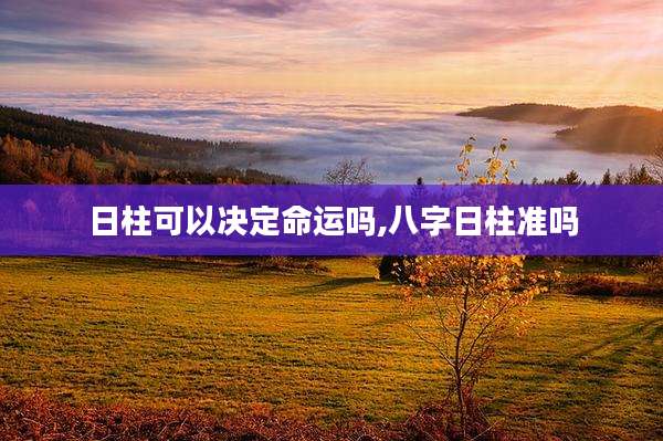 日柱可以决定命运吗,八字日柱准吗