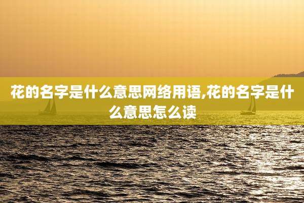 花的名字是什么意思网络用语,花的名字是什么意思怎么读