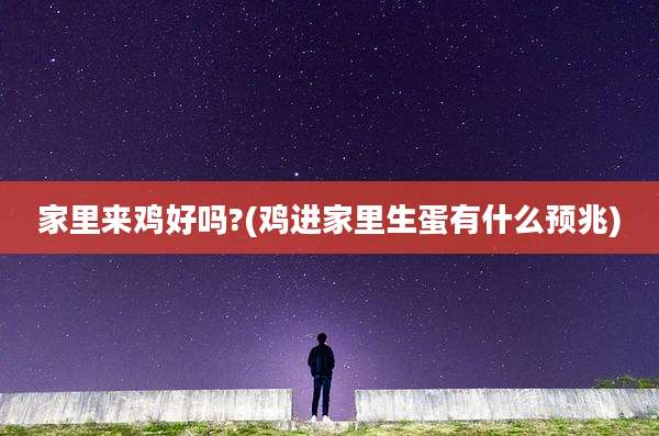 家里来鸡好吗?(鸡进家里生蛋有什么预兆)