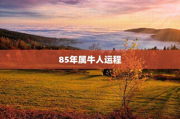 85年属牛人运程
