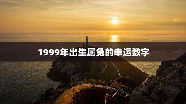 1999年出生属兔的幸运数字