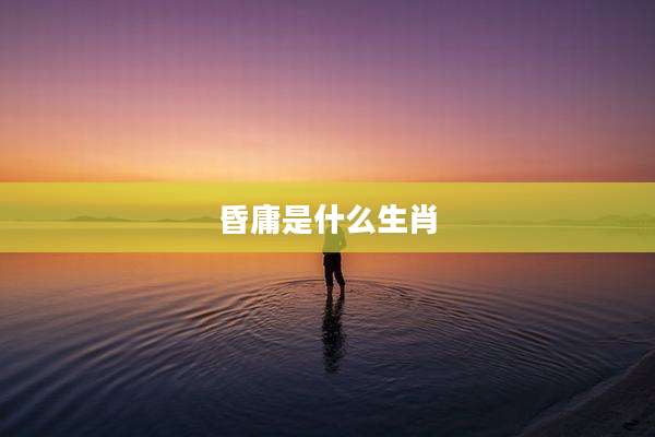 昏庸是什么生肖