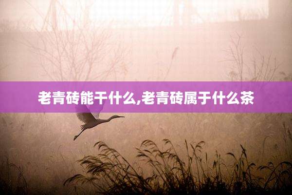 老青砖能干什么,老青砖属于什么茶