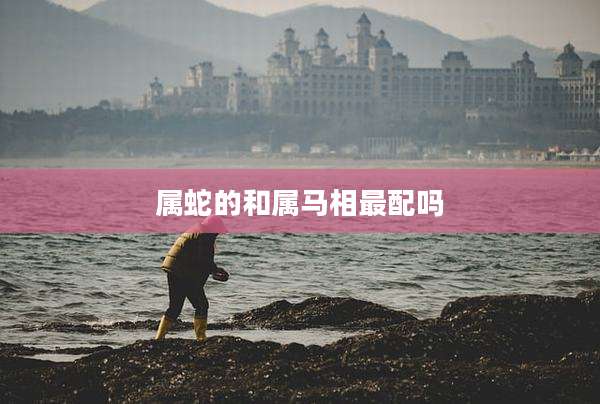 属蛇的和属马相最配吗