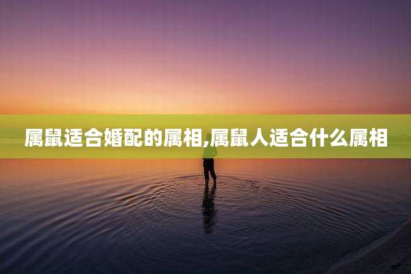 属鼠适合婚配的属相,属鼠人适合什么属相