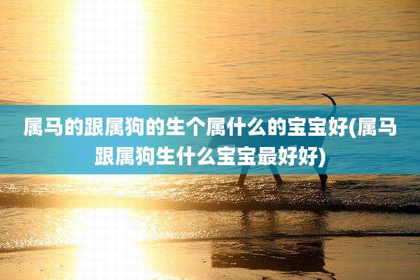 属马的跟属狗的生个属什么的宝宝好(属马跟属狗生什么宝宝最好好)