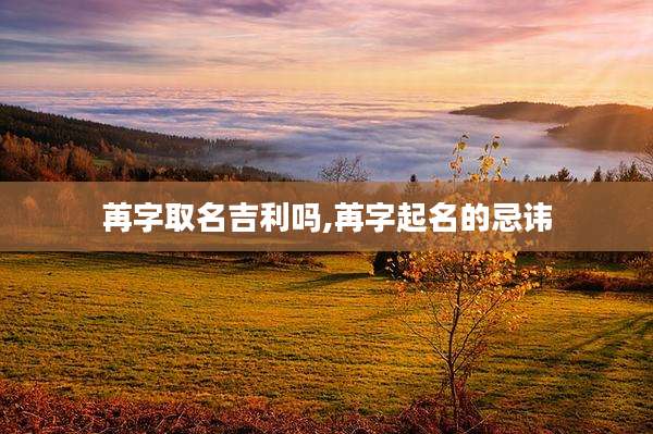 苒字取名吉利吗,苒字起名的忌讳