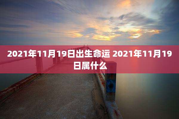 2021年11月19日出生命运 2021年11月19日属什么
