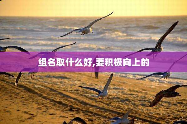 组名取什么好,要积极向上的