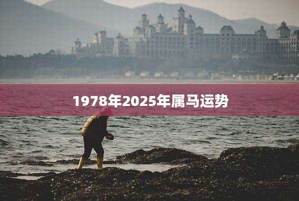 1978年2025年属马运势