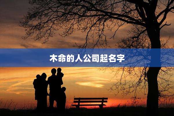 木命的人公司起名字